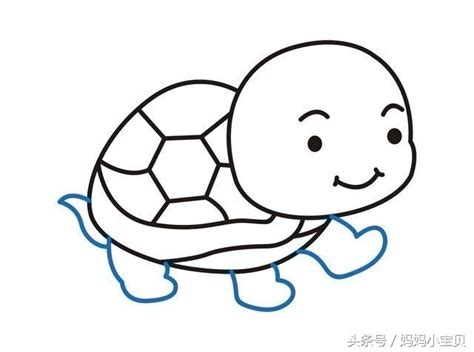 鹅掌藤风水 烏龜怎麼畫